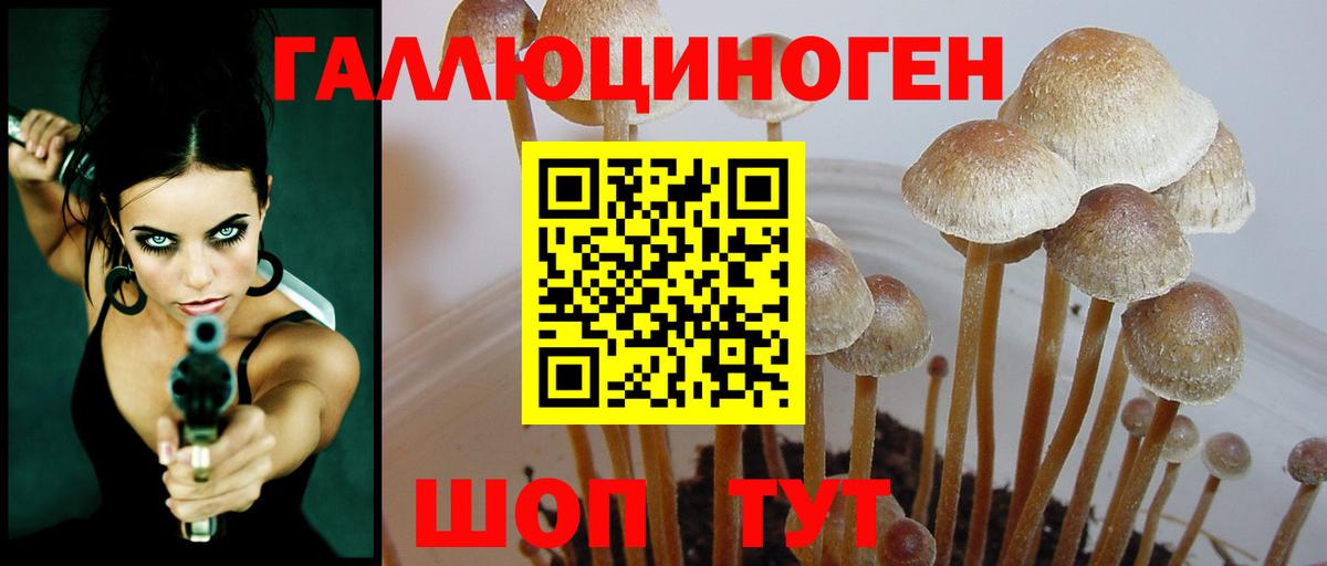 Псилоцибиновые грибы мицелий Обнинск